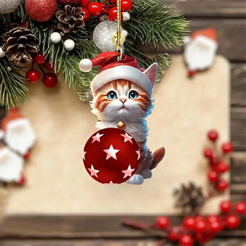 đ±Katt-hĂ€nge JulrĂ€knare Blind Box â 24 dagar av morrhĂ„riga underverk