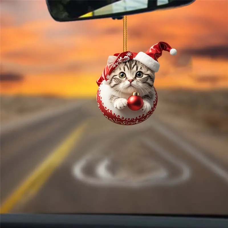đ±Katt-hĂ€nge JulrĂ€knare Blind Box â 24 dagar av morrhĂ„riga underverk