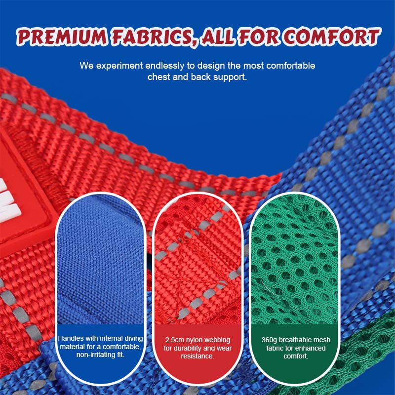 🐾 Premium hundsadelgjord – komfort, kontroll och säkerhet i varje ste